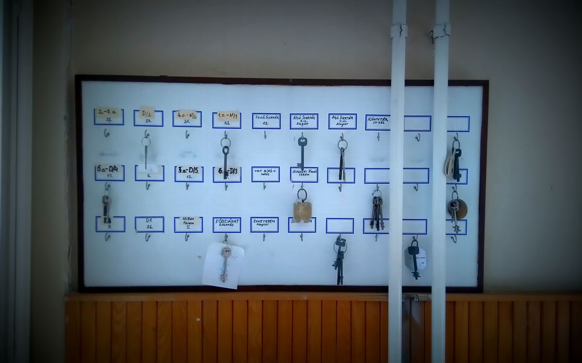 Classroom wall displaying student flowcharts and algorithm designs